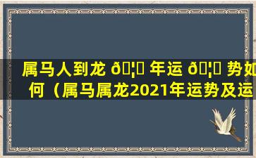 属马人到龙 🦄 年运 🦍 势如何（属马属龙2021年运势及运程详解）